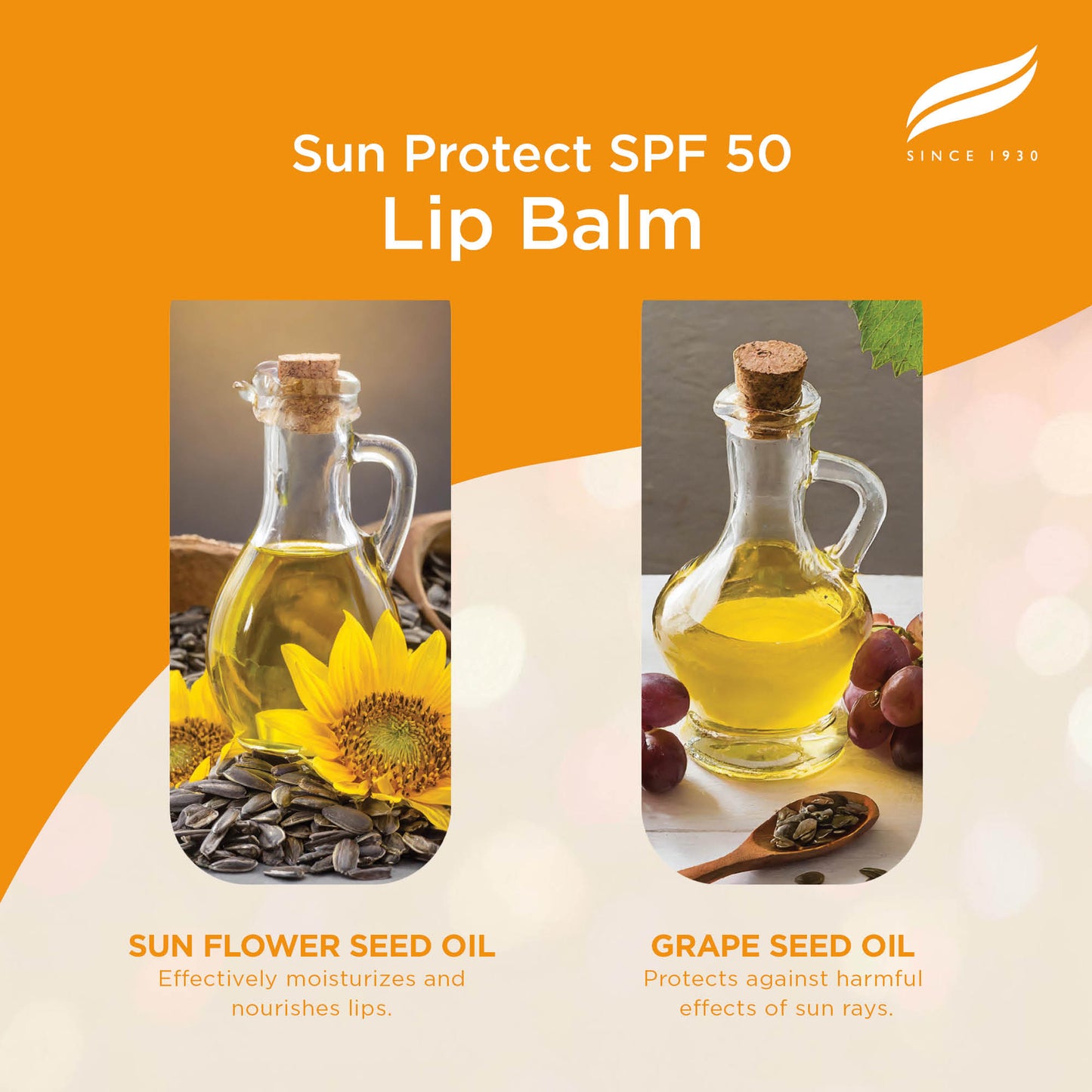 Himalaya Sun Protect Lip balm (SPF 50), 4.5 g
