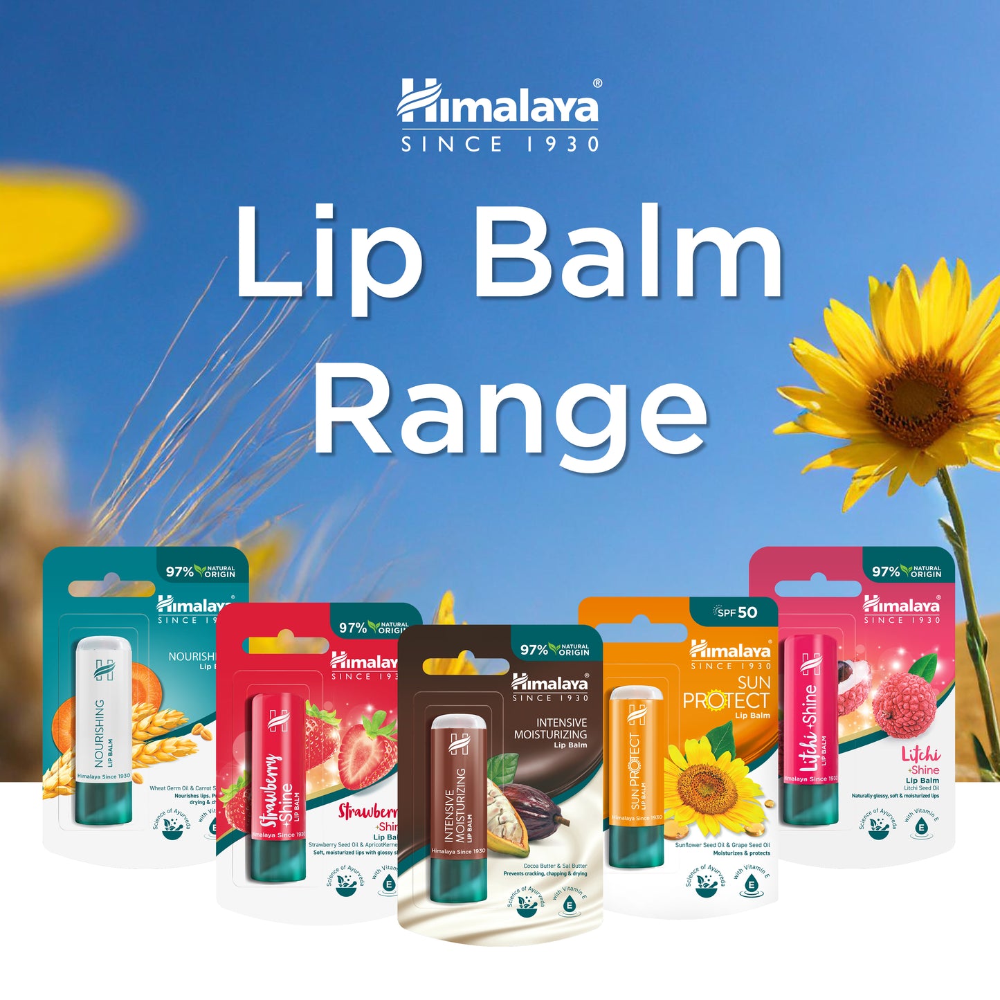 Himalaya Sun Protect Lip balm (SPF 50), 4.5 g