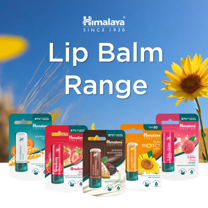 Himalaya Sun Protect Lip balm (SPF 50), 4.5 g